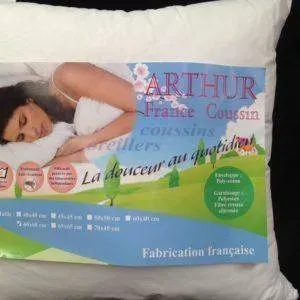 coussin arthur